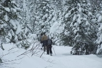 L'hiver des trappeurs et coureurs des bois