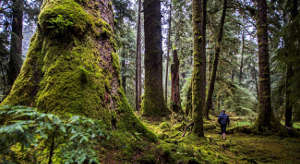 Aventure plein air authentique à Haida Gwaii avec Go to Canada