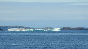 Voyage d'observation des icebergs en Basse Côte Nord du Québec