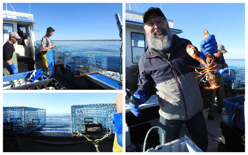La famille Arsenault partage son métier de pêcheur de homard avec générosité!