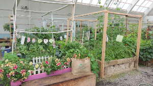 La Greenhouse d'Inuvik, une visite incontournable