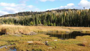 Réapprendre à vivre au cœur de la nature, avec Go to Canada!