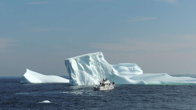 Go to Canada vous emmène observer les icebergs!