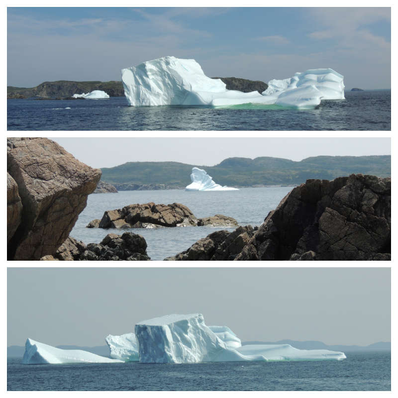 Dérive des icebergs à l'est du Canada