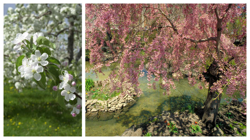 Visitez les verges et parcs publics du Canada au printemps!