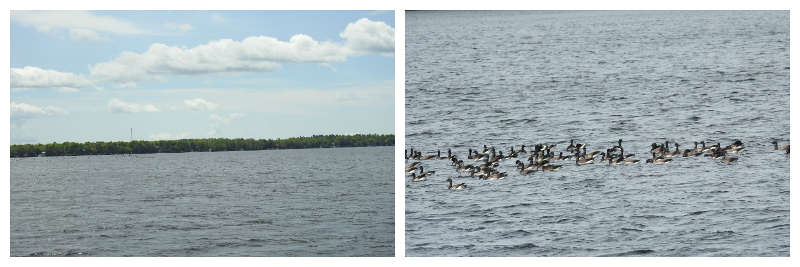 La navigation sur le Rideau près de Rideau Ferry