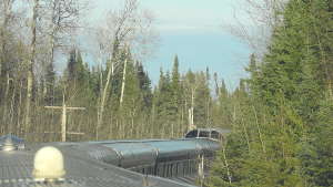 En train au milieu de la forêt boréale