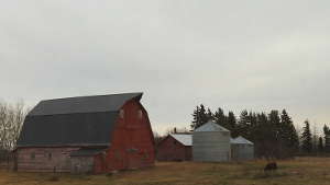 Paysages des prairies canadiennes