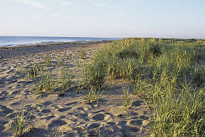 En vacances sur les plages sablonneuses du Nouveau Brunswick