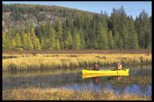 Des vacances en canot sur les lacs d'Ontario au Canada