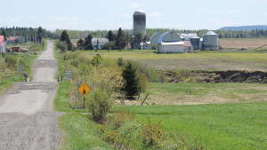 Paysages agricoles du Témiscamingue au Québec