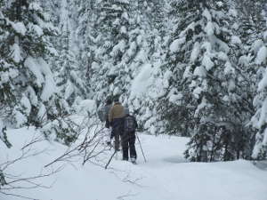 raquette en hiver au Québec