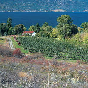 Tourisme oenologique dans l'Okanagan avec Go to Canada