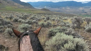 Découvrez la vie d'un ranch dans l'ouest canadien!