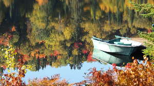 Profitez de la beauté des couleurs avec Go to Canada