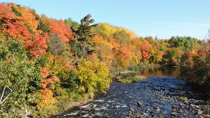 La Mauricie se colore à l'été indien!