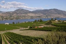 Pacifique, Okanagan et Rocheuses