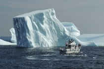 Icebergs en vue à Terre Neuve