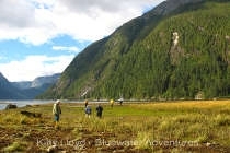 La Great Bear Rainforest