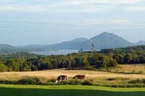 Le Québec du Sud, rural et gourmand!