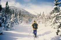 Un hiver très nature au cœur du Québec Maritime